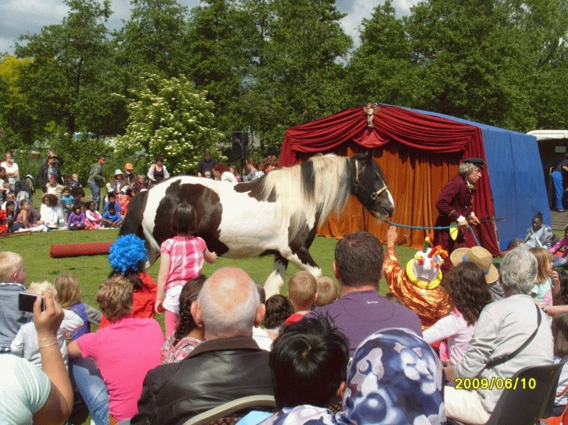 br_609paardenactcircuszanzarabijkinderboerderijbrinkie.jpg