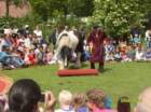 br_611actcircuspaardcircuszanzarabijkinderboerderijbrinkie_small.jpg