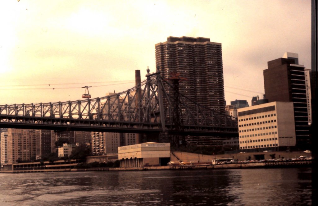 usa145newyorkbridgeeastriver.jpg