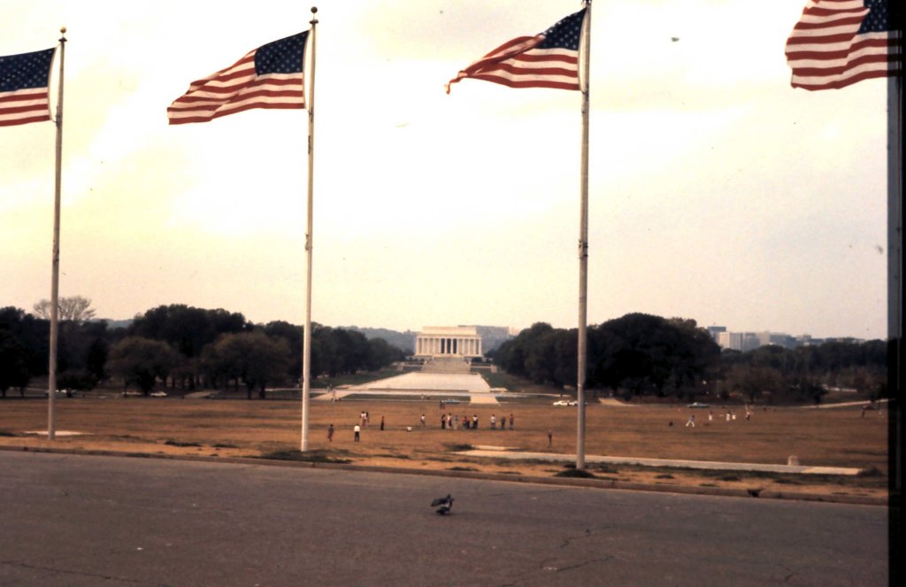 usa617viewatlincolnmemorial.jpg