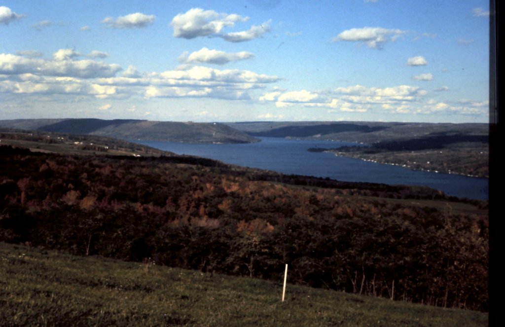 usa749thewinedistrictfingerlakesny.jpg